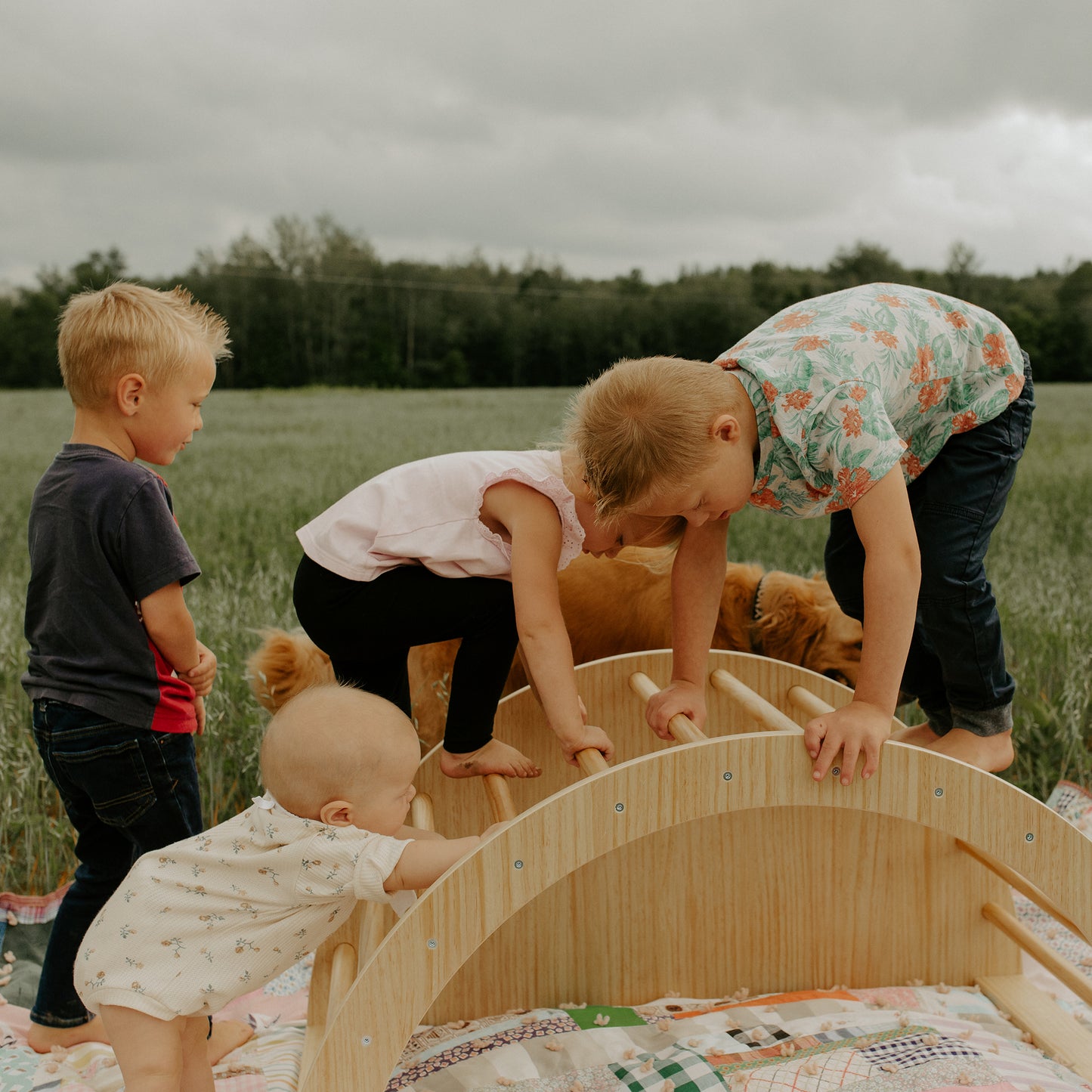 Montessori Climbing Arch for Children - Fast and Free Shipping